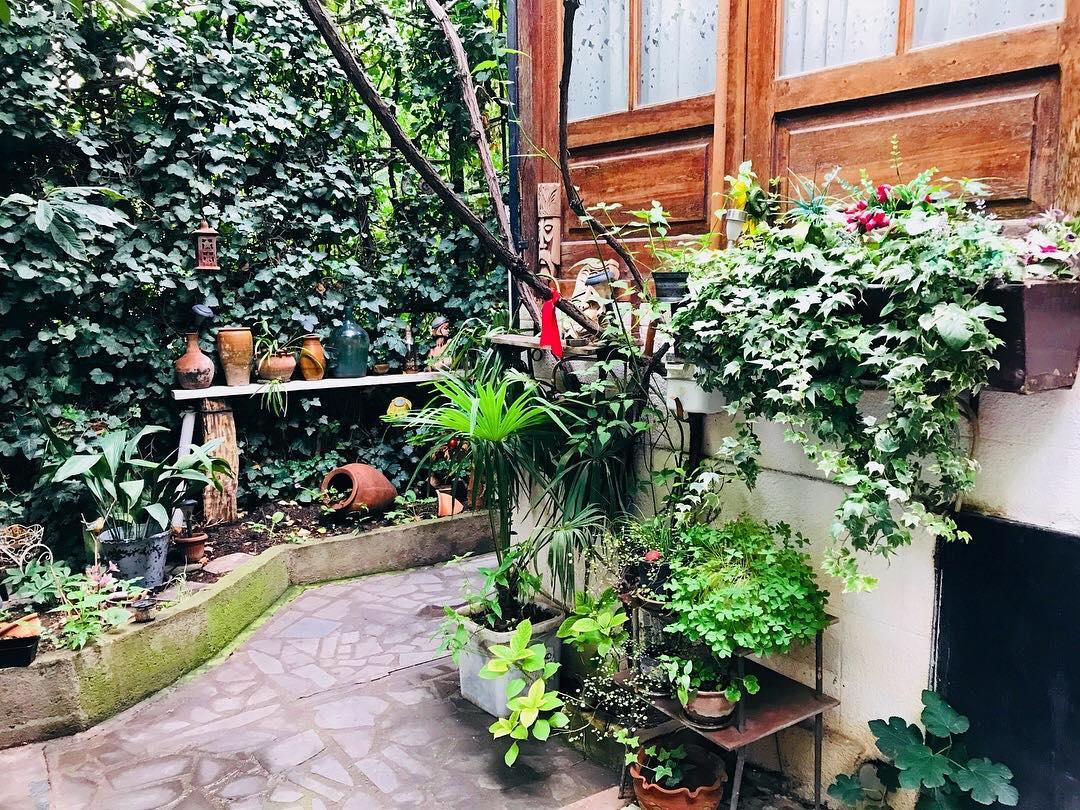 Tania'S Home ティビリシ エクステリア 写真