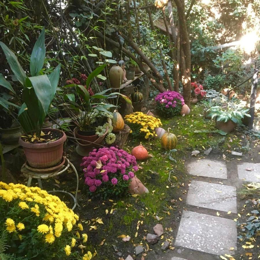 Tania'S Home ティビリシ エクステリア 写真